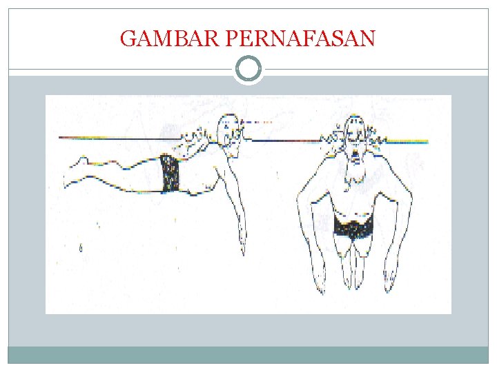 GAMBAR PERNAFASAN 