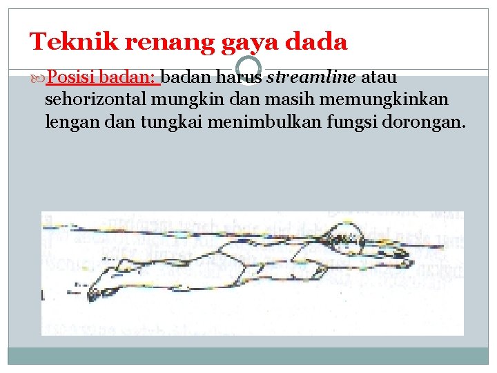 Teknik renang gaya dada Posisi badan: badan harus streamline atau sehorizontal mungkin dan masih