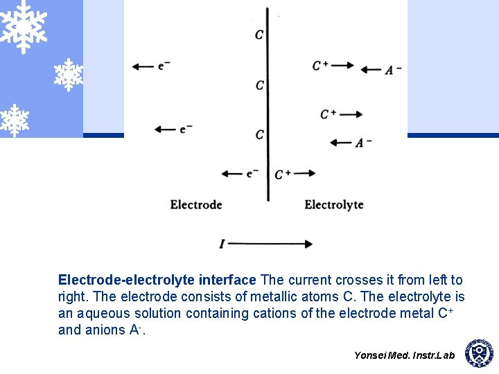 Electrode-electrolyte interface The current crosses it from left to right. The electrode consists of