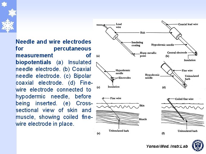 Needle and wire electrodes for percutaneous measurement of biopotentials (a) Insulated needle electrode. (b)