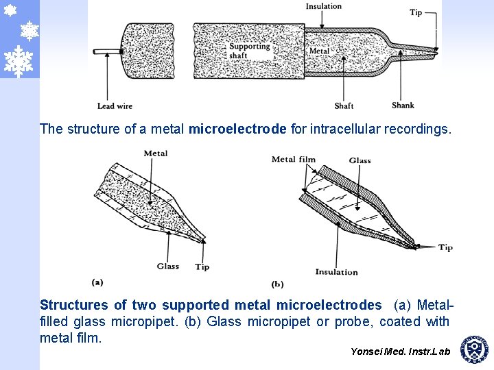 The structure of a metal microelectrode for intracellular recordings. Structures of two supported metal