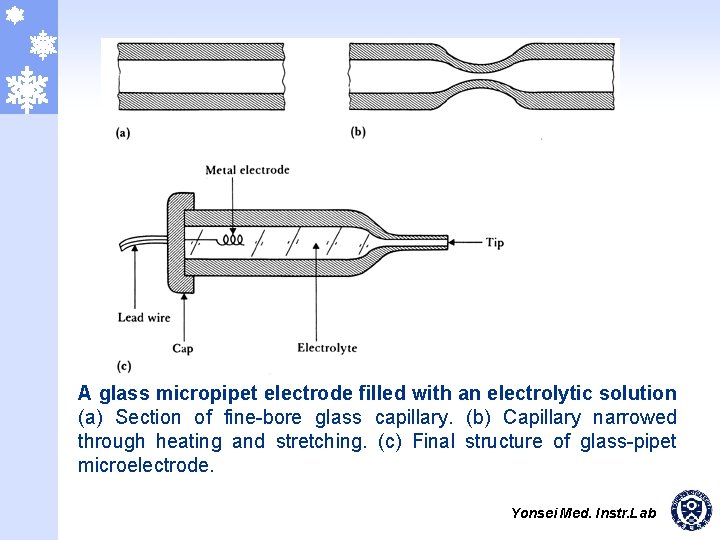 A glass micropipet electrode filled with an electrolytic solution (a) Section of fine-bore glass