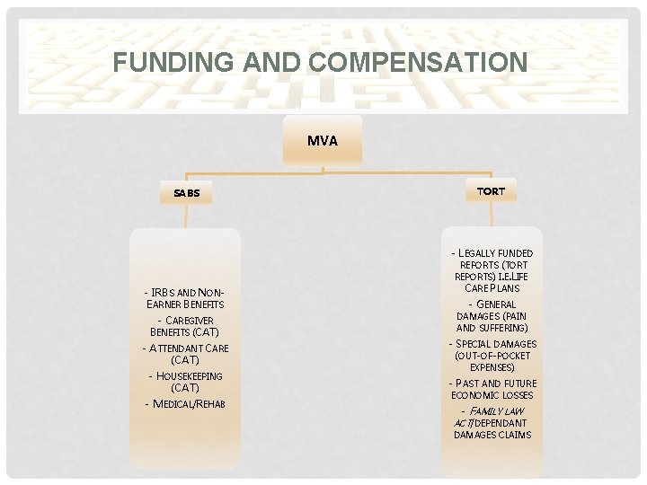 FUNDING AND COMPENSATION MVA SABS - IRBS AND NONEARNER BENEFITS - CAREGIVER BENEFITS (CAT)
