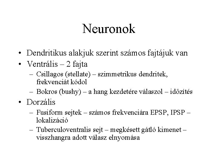 Neuronok • Dendritikus alakjuk szerint számos fajtájuk van • Ventrális – 2 fajta –