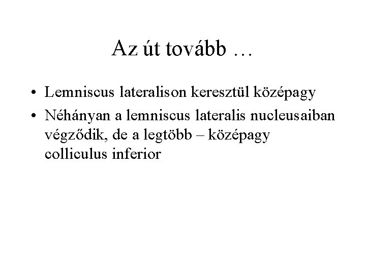 Az út tovább … • Lemniscus lateralison keresztül középagy • Néhányan a lemniscus lateralis