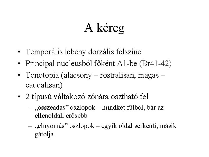 A kéreg • Temporális lebeny dorzális felszíne • Principal nucleusból főként A 1 -be