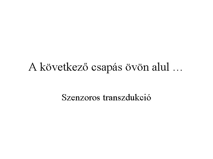 A következő csapás övön alul … Szenzoros transzdukció 