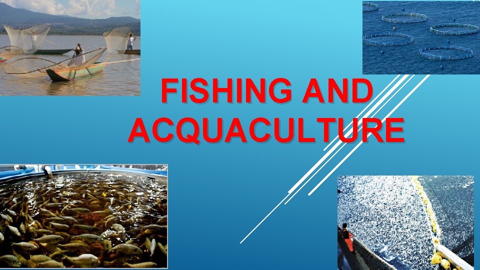  FISHING AND ACQUACULTURE IES M ANUEL D 