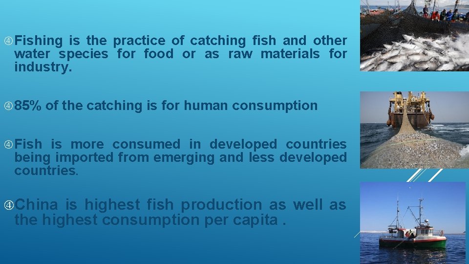  Fishing is the practice of catching fish and other water species for food