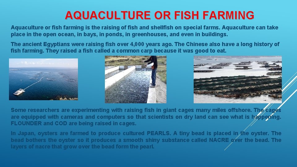 AQUACULTURE OR FISH FARMING Aquaculture or fish farming is the raising of fish and