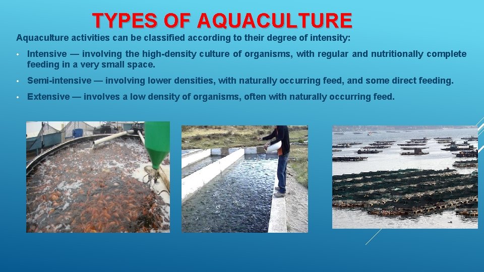 TYPES OF AQUACULTURE Aquaculture activities can be classified according to their degree of intensity: