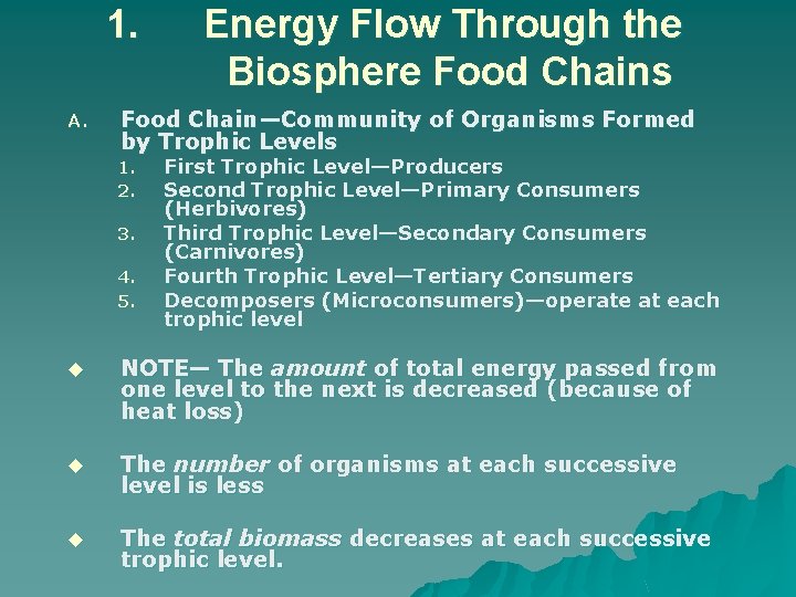 1. A. Energy Flow Through the Biosphere Food Chains Food Chain—Community of Organisms Formed