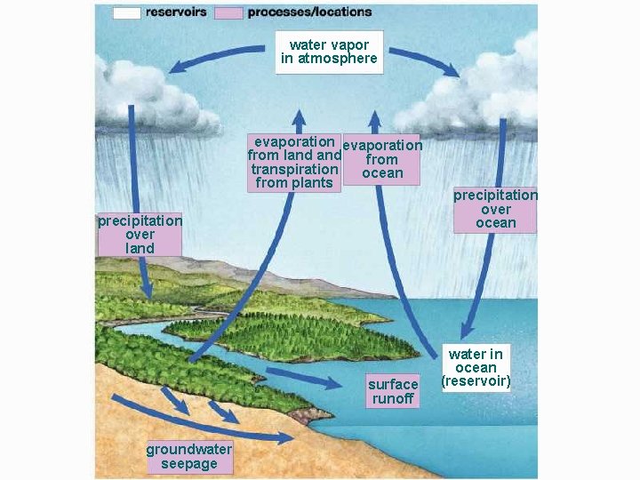 water vapor in atmosphere evaporation from land from transpiration ocean from plants precipitation over