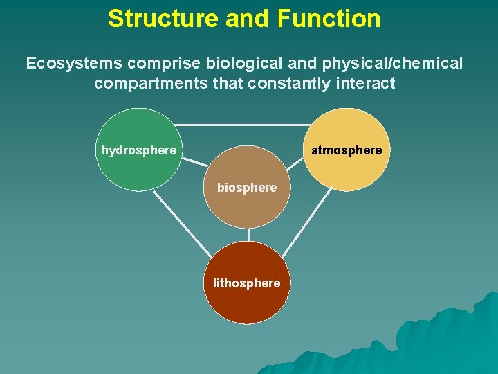 Structure and Function Ecosystems comprise biological and physical/chemical compartments that constantly interact hydrosphere atmosphere