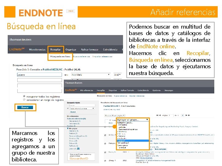 Añadir referencias Búsqueda en línea Marcamos los registros y los agregamos a un grupo Añadir referencias Búsqueda en línea Marcamos los registros y los agregamos a un grupo