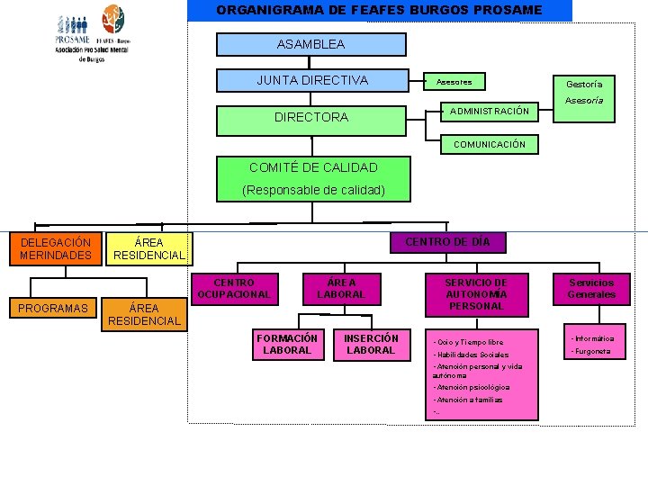 ORGANIGRAMA DE FEAFES BURGOS PROSAME ASAMBLEA JUNTA DIRECTIVA Asesores Gestoría Asesoría ADMINISTRACIÓN DIRECTORA COMUNICACIÓN