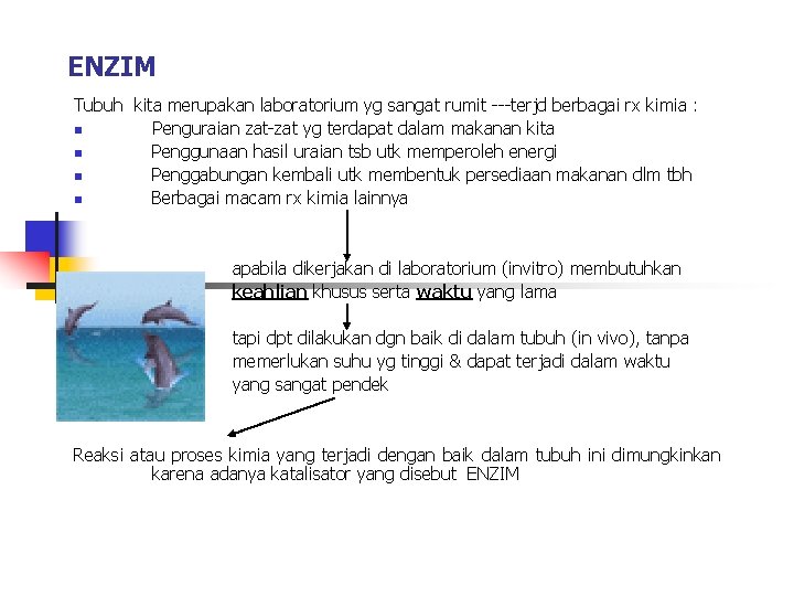 ENZIM Tubuh kita merupakan laboratorium yg sangat rumit ---terjd berbagai rx kimia : n