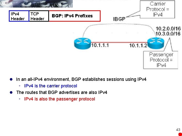 IPv 4 Header TCP Header BGP: IPv 4 Prefixes l In an all-IPv 4