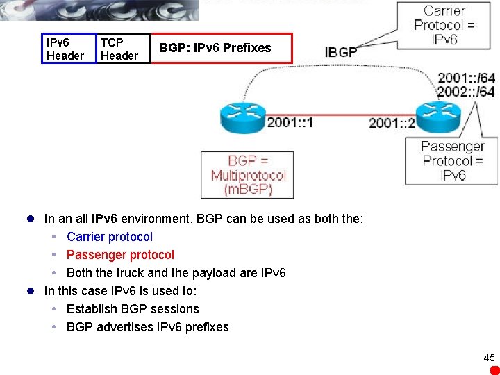 IPv 6 Header TCP Header BGP: IPv 6 Prefixes l In an all IPv