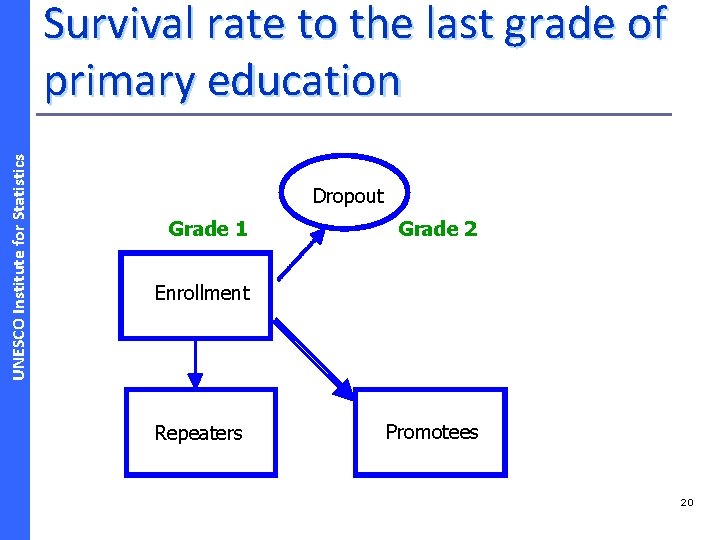 UNESCO Institute for Statistics Survival rate to the last grade of primary education Dropout