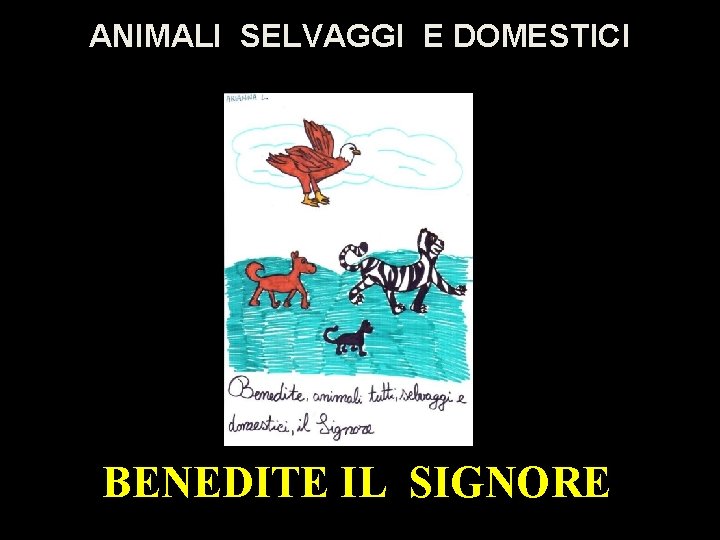ANIMALI SELVAGGI E DOMESTICI BENEDITE IL SIGNORE 