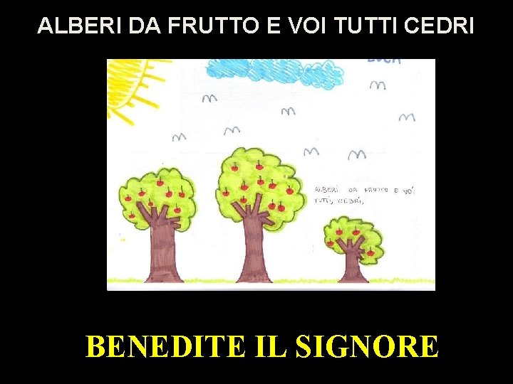 ALBERI DA FRUTTO E VOI TUTTI CEDRI BENEDITE IL SIGNORE 