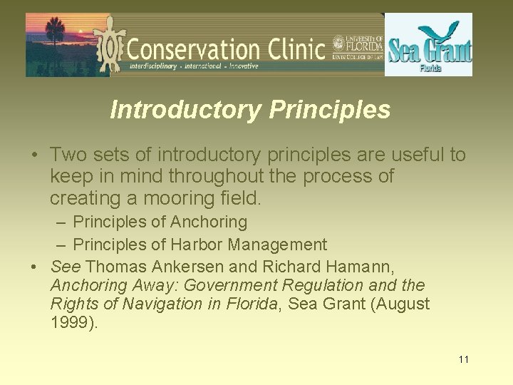 Introductory Principles • Two sets of introductory principles are useful to keep in mind