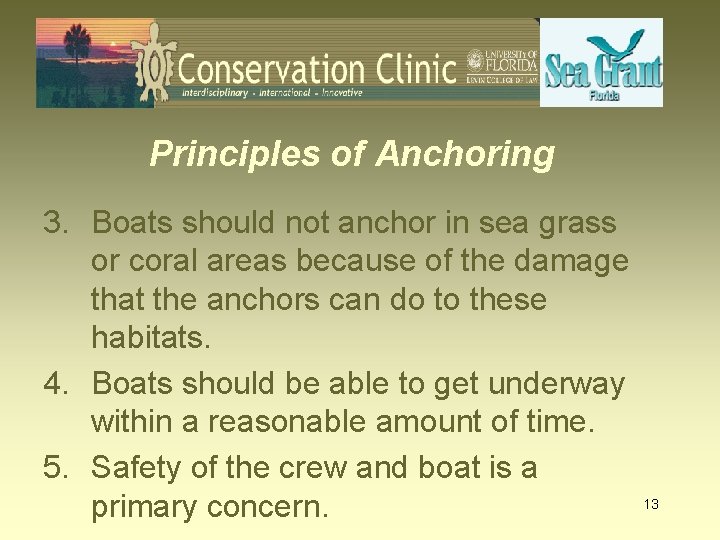 Principles of Anchoring 3. Boats should not anchor in sea grass or coral areas