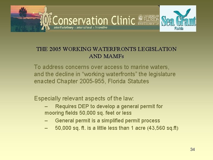 THE 2005 WORKING WATERFRONTS LEGISLATION AND MAMFs To address concerns over access to marine
