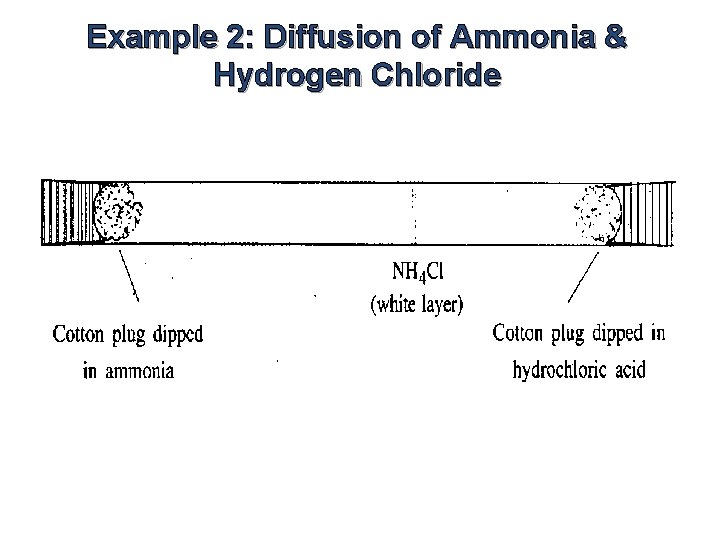 Example 2: Diffusion of Ammonia & Hydrogen Chloride 