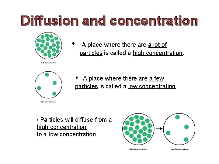Diffusion and concentration • A place where there a lot of particles is called