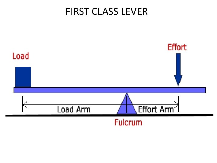 FIRST CLASS LEVER 