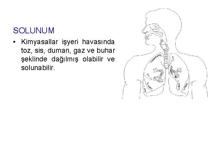 SOLUNUM • Kimyasallar işyeri havasında toz, sis, duman, gaz ve buhar şeklinde dağılmış olabilir