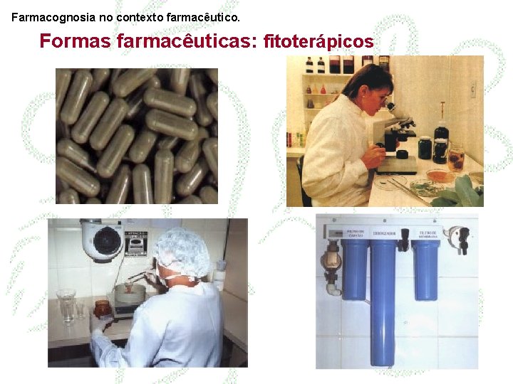 Farmacognosia no contexto farmacêutico. Formas farmacêuticas: fitoterápicos 