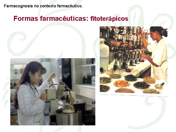 Farmacognosia no contexto farmacêutico. Formas farmacêuticas: fitoterápicos 