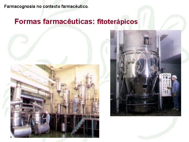 Farmacognosia no contexto farmacêutico. Formas farmacêuticas: fitoterápicos 