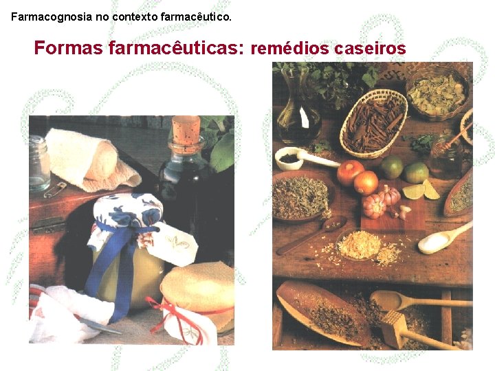 Farmacognosia no contexto farmacêutico. Formas farmacêuticas: remédios caseiros 