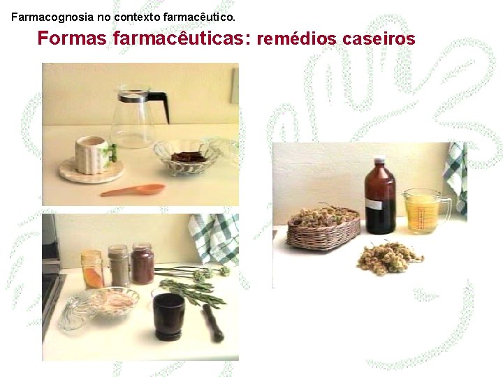 Farmacognosia no contexto farmacêutico. Formas farmacêuticas: remédios caseiros 