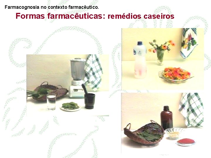 Farmacognosia no contexto farmacêutico. Formas farmacêuticas: remédios caseiros 