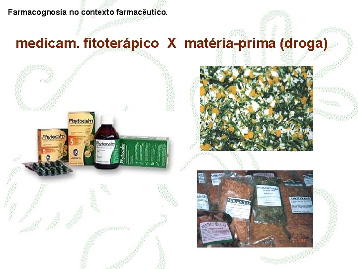 Farmacognosia no contexto farmacêutico. medicam. fitoterápico X matéria-prima (droga) 