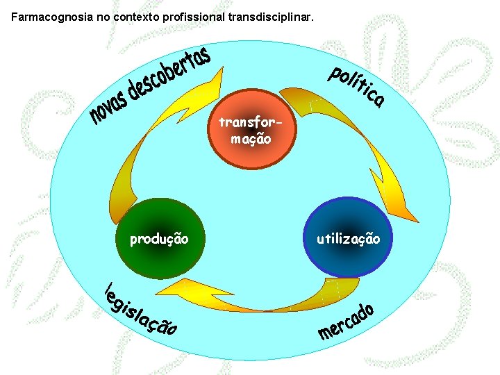 Farmacognosia no contexto profissional transdisciplinar. transformação produção utilização 