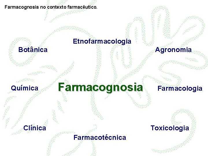 Farmacognosia no contexto farmacêutico. Etnofarmacologia Botânica Química Agronomia Farmacognosia Clínica Farmacologia Toxicologia Farmacotécnica 