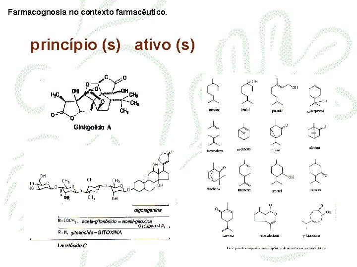 Farmacognosia no contexto farmacêutico. princípio (s) ativo (s) 