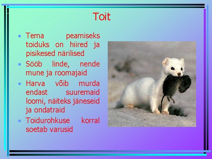 Toit • Tema peamiseks toiduks on hiired ja pisikesed närilised • Sööb linde, nende