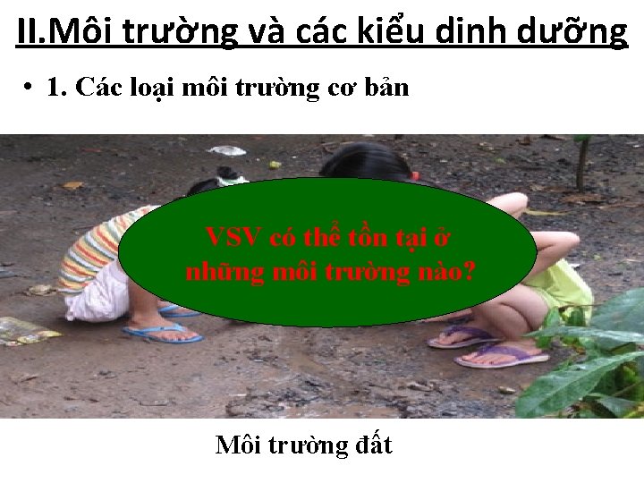 II. Môi trường và các kiểu dinh dưỡng • 1. Các loại môi trường