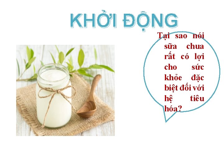 KHỞI ĐỘNG Tại sao nói sữa chua rất có lợi cho sức khỏe đặc