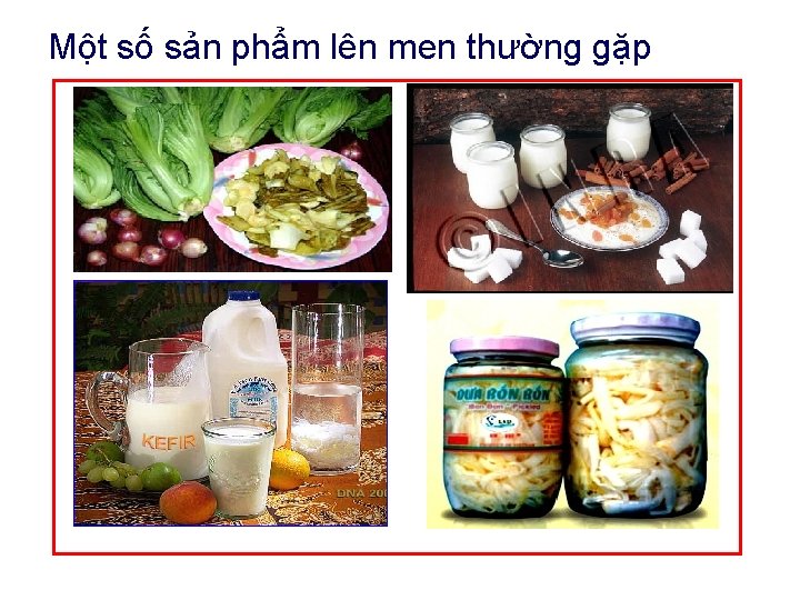 Một số sản phẩm lên men thường gặp 