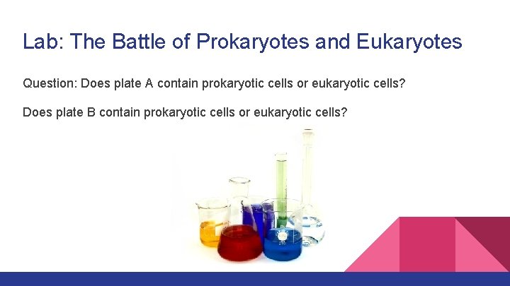 Lab: The Battle of Prokaryotes and Eukaryotes Question: Does plate A contain prokaryotic cells