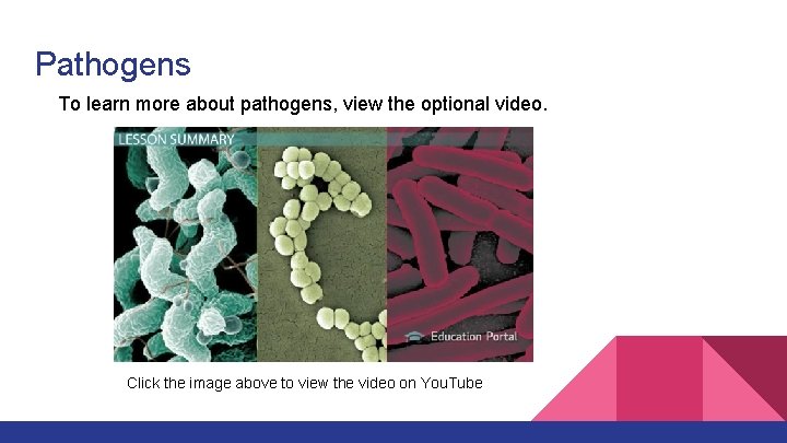 Pathogens To learn more about pathogens, view the optional video. Click the image above