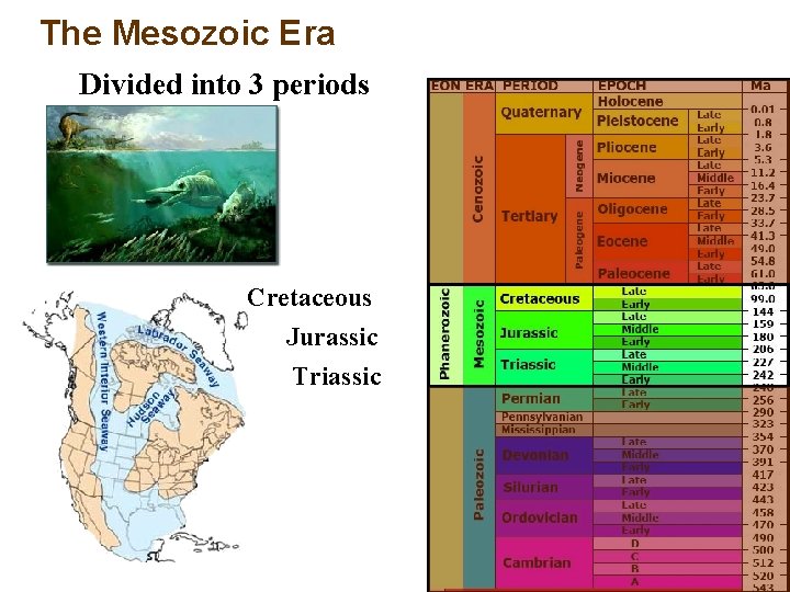 The Mesozoic Era Divided into 3 periods Cretaceous Jurassic Triassic 